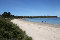 Tiger Head Beach